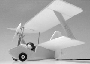 Flea Flight