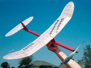 Geezer Pleezer P-30