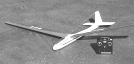 Yankee Soar
