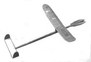 Twin Fin