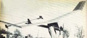 Sky Bird