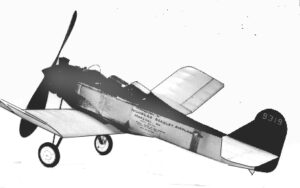 Nicholas Beasley NB-3