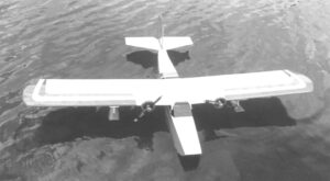Ripple Skipper